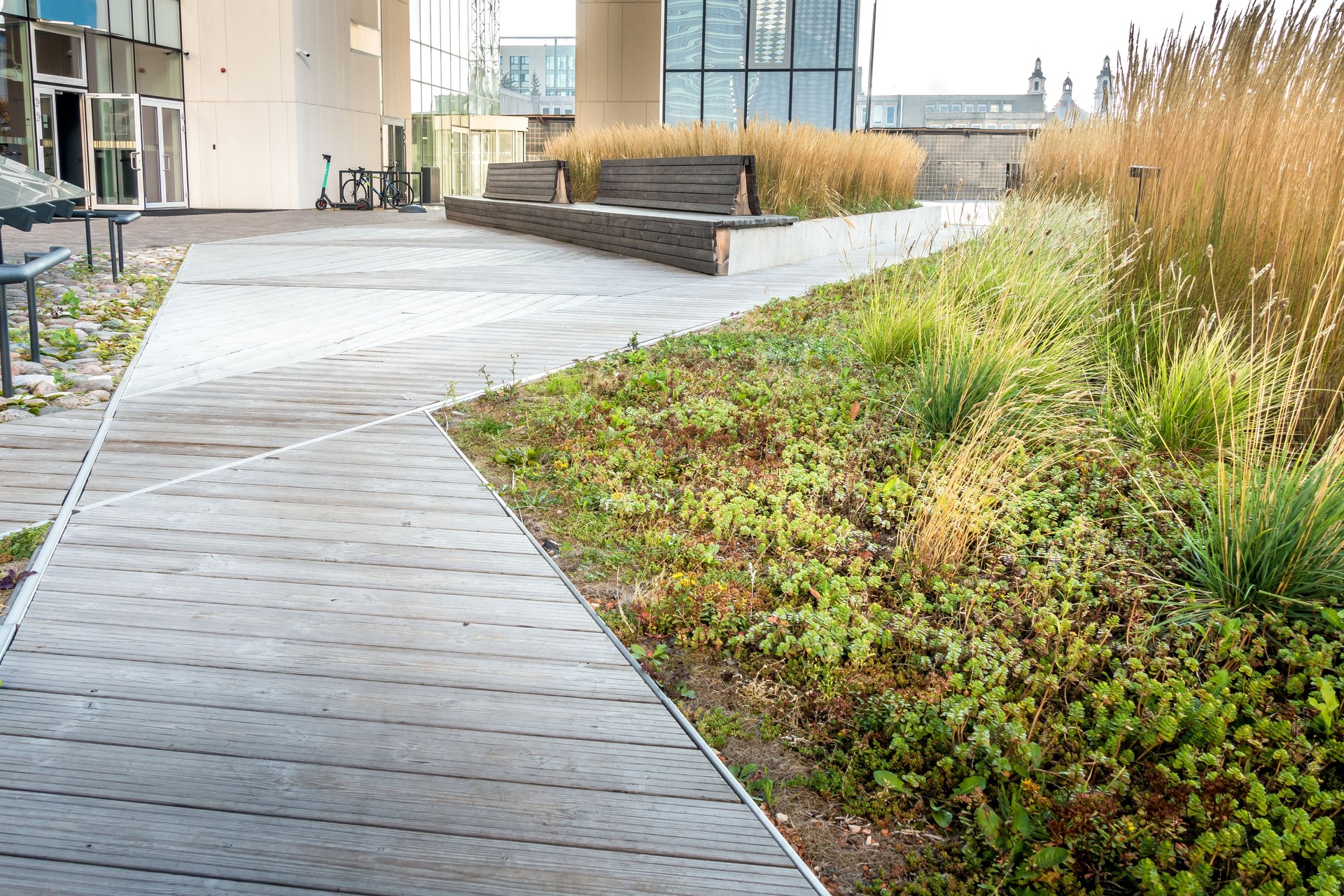 Modern city landscaping with wooden walkways, green plants and flower near modern office building
