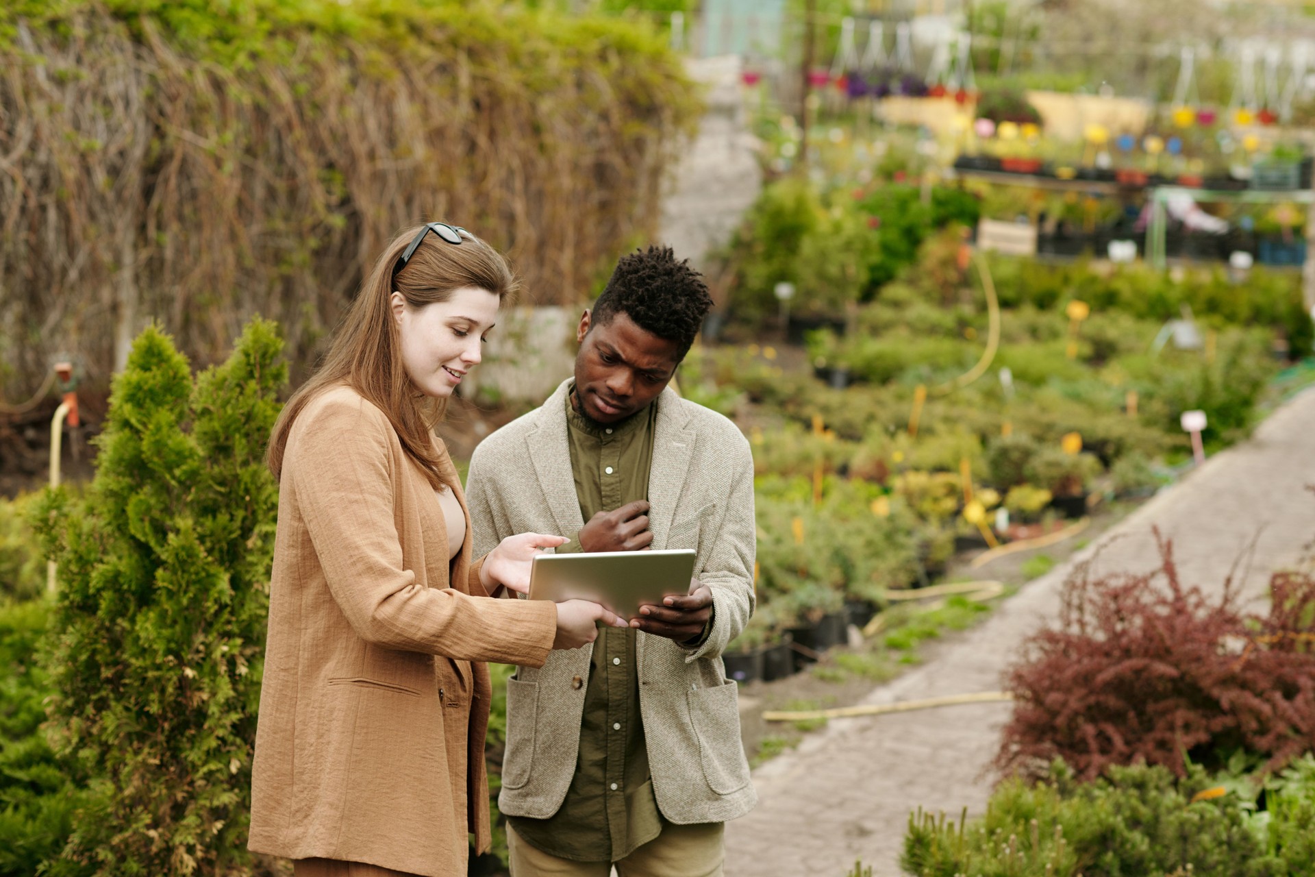 Woman showing her house project to landscape designer